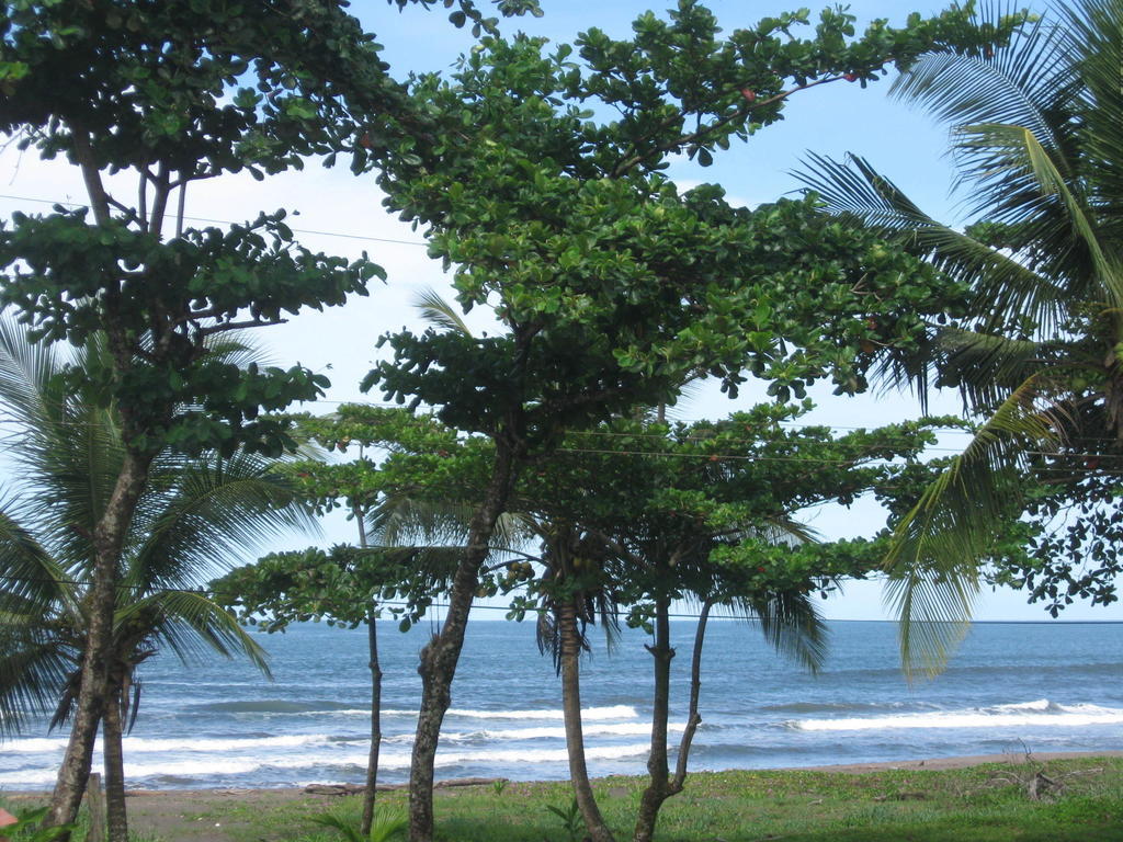 Cabinas Miss Miriam 2 Tortuguero Eksteriør billede