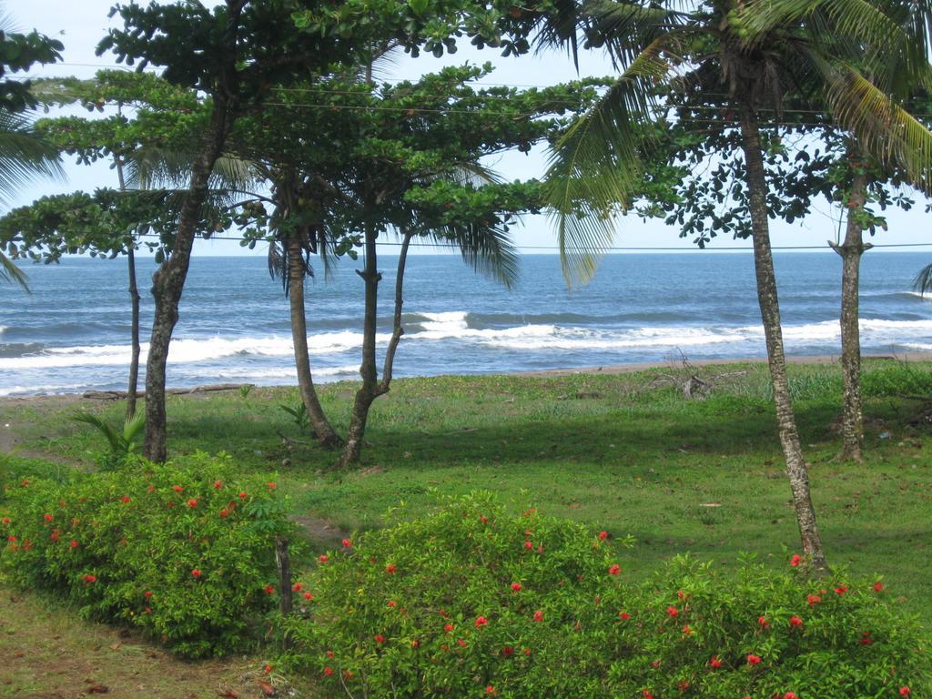 Cabinas Miss Miriam 2 Tortuguero Eksteriør billede