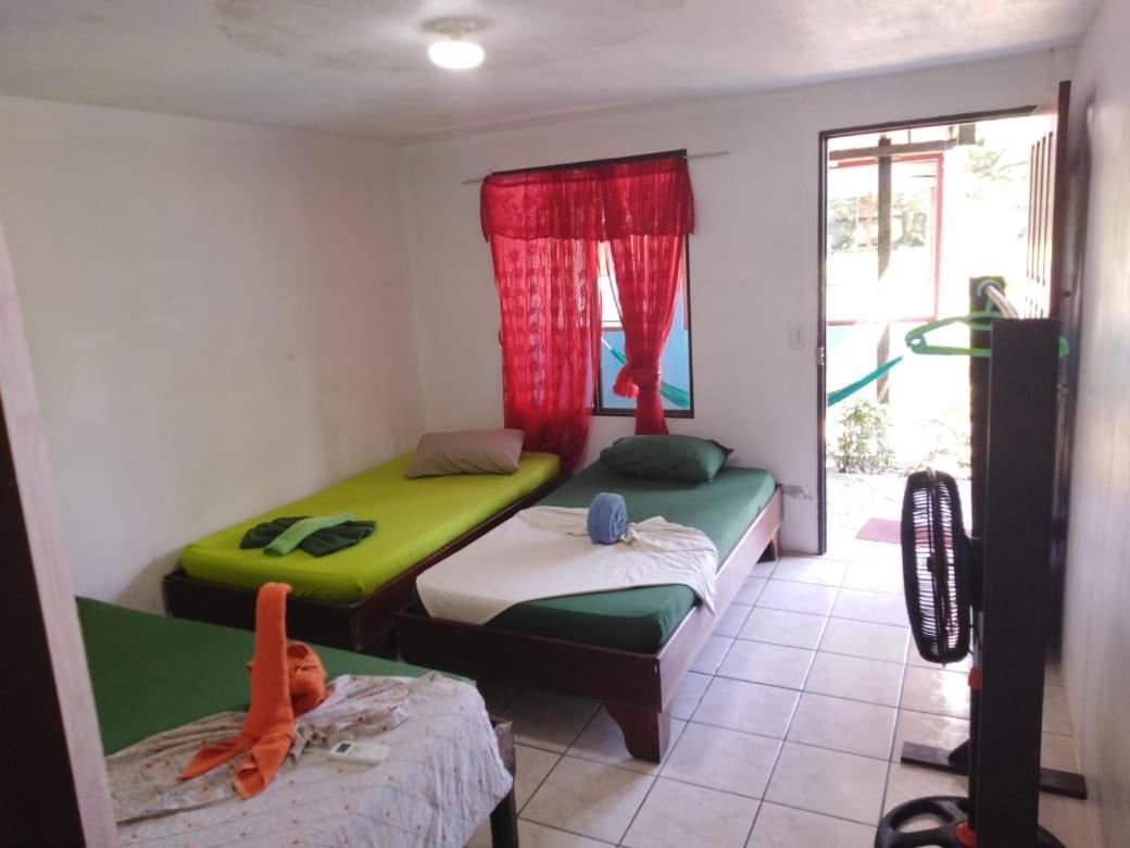 Cabinas Miss Miriam 2 Tortuguero Eksteriør billede