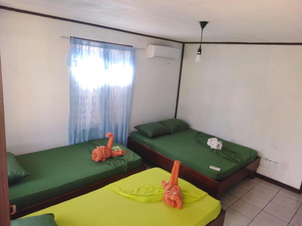 Cabinas Miss Miriam 2 Tortuguero Eksteriør billede